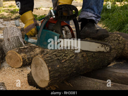 Kettensäge auf dem Hintergrund von Schnittholz rundholz Brennholz für den Winter. Stockfoto