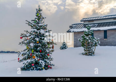 Baum mit Weihnachtsschmuck auf verschneiten Landschaft Stockfoto