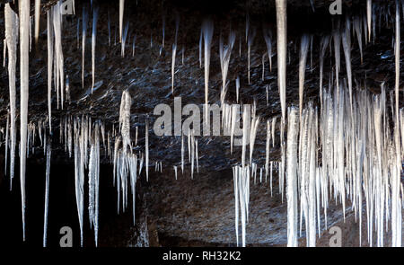 Viele Eiszapfen von der Decke der Höhle Stockfoto