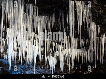 Viele Eiszapfen von der Decke der Höhle Stockfoto