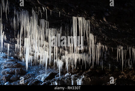 Viele Eiszapfen von der Decke der Höhle Stockfoto