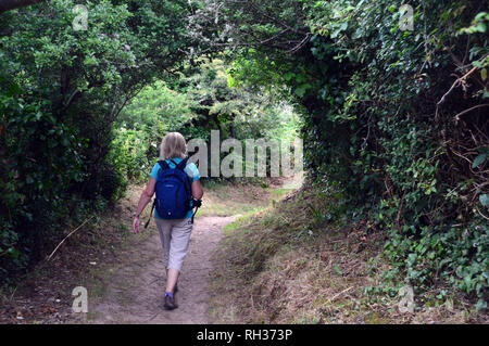 Frau Wanderer zu Fuß auf einen Fußweg durch einen grünen Tunnel von Hecken in der Nähe von Jerbourg Point auf dem Küstenweg von Guernsey Kanalinseln. Großbritannien Stockfoto