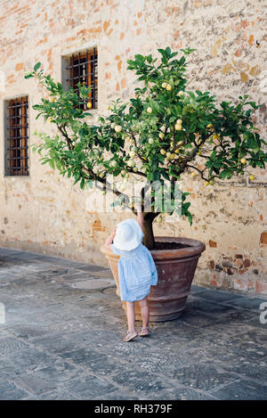 Mädchen erreichen Zitrone auf Lemon Tree Stockfoto