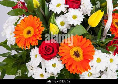 Weiße Korb mit Blumen. Eine Reihe von bunten Blumen für einen Geburtstag. Geflochtenen Korb, Rosen und Tulpen. Stockfoto