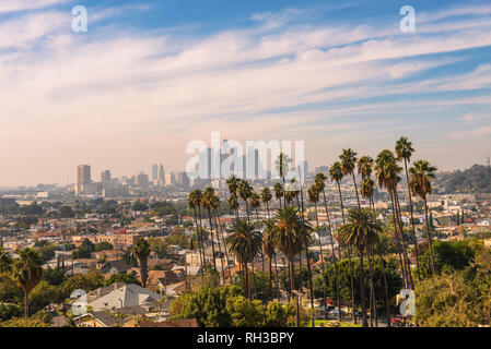 Los Angeles Skyline bei Sonnenuntergang mit Palmen im Vordergrund. Stockfoto