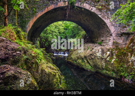 Dirt Road in der Tollymore Forest Park Stockfoto