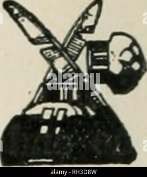 . Britische Vögel. Vögel. OTES. Wahrscheinlich VERSCHACHTELUNG VON WENIGER REDPOLL IN MONMOUTHSHIRE. Am 19. Juli 1916 bemerkte ich ein paar weniger Unaria Redpolls {Carduelis Cabaret) wiederholt ein- und aussteigen an einem Baum wächst in einigen öffentlichen Gärten in Newport, Monmouthshire. Ich beobachtete die Vögel über der gleichen Stelle bei verschiedenen anderen Gelegenheiten, und ihre Aktionen links, wenig Zweifel daran, dass sie Nahrung trugen die Jungen wohl noch im Nest. Aber, ich konnte nicht aus dem Boden unter den Baum, den ich nicht imstande war, zu klettern. Howard Bentham WENIGER REDPOLL ZUCHT IN HERTFORDSHI RE. Zwei n Stockfoto