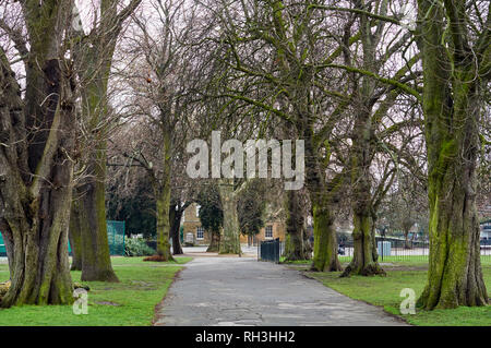 Bäume im Winter und Fußweg in Clissold Park, North London, Großbritannien Stockfoto