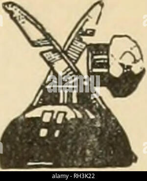 . Britische Vögel. Vögel. OTES. Das Holz - taube Diphtherie. Eine enttäuschende Anzahl von Zeitplänen über diese Anfrage gesendet wurde. Wir hatten gehofft, dass unsere Leser gefüllt haben würde und in ihren Zeitplänen gesendet (an der Innenseite des Dezember Ausgabe beigefügt), da die Schwierigkeiten besorgt ist so klein, während das Ergebnis der Informationen, egal ob Negativ oder Positiv, ist sicher nützlich zu sein. Eds. Wiederherstellung von markierten Vögeln. Lachmöwe (Larus ridibundus).-B. B., Nr. 3237, markiert als Nestling von Dr. C.B. Bollendorf am Llyn Mynyddlod, in der Nähe von Bala, Merionethshire, am 12. Juni 1909. Rec Stockfoto