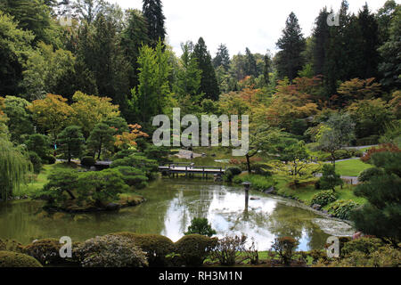 Ein japanischer Garten mit Bäumen, ein großer Teich und Wanderwege in Seattle, Washington, USA Stockfoto