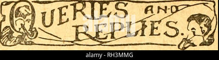. Britische bee Journal &Amp; Imker Berater. Bienen. 344 Die BEITISH BEE JOURNAL. 13. Juli 1922. die Bienen von der Heather die gleiche Sache oc-Zichten, vor allem kommen in der Nähe der Bienenstöcke. Alte schwer beladenen Bienen fallen zu Boden, gekühlt werden und sterben. August ist recht gut fortgeschritten, und viele bereit Arbeiter sollten auf die Pension Liste sein, als alter Ansprüche stetig seine Geschichte von abgenutzten Arbeitnehmer während der zusammenkunft oder Rücksendung, oder wenn in einer Dusche erwischt. Jetzt haben wir mit Gründen versehene zu Recht von Unrecht, dass natürliche Ursachen für die große Zahl der toten Bienen auf der Straße Unter den Linden overhangi entfielen Stockfoto