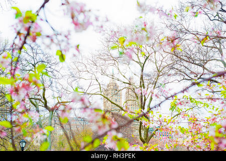 Frühling im Central Park, New York City, San Remo Gebäude Stockfoto
