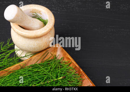 Equisetum (Schachtelhalm) Kraut in Mörtel. Alternative Medizin Konzept auf schwarzen Holztisch (selektive Fokus). Stockfoto