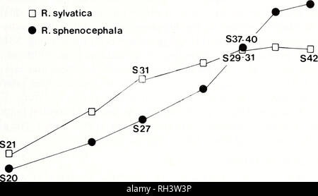 . Brimleyana. Zoologie; Ökologie; Natural History. Holz Frosch Leben Geschichte 45 60 50 40 30 20 10 S36? R. sylvatica • R. sphenocephala. 1 18 27 7 15 22 29 Jan Feb Mar Apr May Jun Jul Datum Abb. 3. Larvale Entwicklung der Rana sylvatica und Rana sphenocephala in Pas-ture Teich, Tallapoosa County, Alabama. Ziffern mit vorangestelltem S geben die Entwicklungsphase in kaulquappen zum Zeitpunkt der Erhebung jedoch, die darauf hinweist, dass alle Larven in dieser Zeit umgewandelt wurden. Dies würde eine maximale Übergangszeit von 73 Tagen in das Feld. Die meisten Personen hatten wahrscheinlich bis 29. April umgewandelt ( Stockfoto
