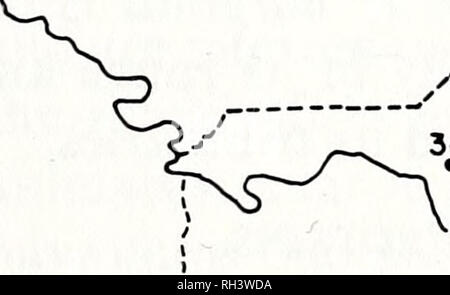 . Brimleyana. Zoologie; Ökologie; Natural History. Neue Arten von plethodon 7 Ellis Zweig der Spring Creek, in der Nähe der Springtown in der nördlichen Polk County, Tennessee, mit keine genetischen Beweis der aktuellen Hybridisierung zwischen Ihnen (siehe unten). Bei 28 der 31 S. aureolus Gemeinden, weiß getupftem S. glutinosus in sympatry übernommen wurde. Highton (1972) wies darauf hin, dass der name Plethodon jordani teyahalee Hairston (1950) für die letztgenannte Form verfügbar ist. Die Bevölkerung an der Typuslokalität, Teyahalee Glatze, Graham - Cherokee County Une, North Carolina, ist wahrscheinlich der hybride Herkunft, sondern viel mehr wie Stockfoto