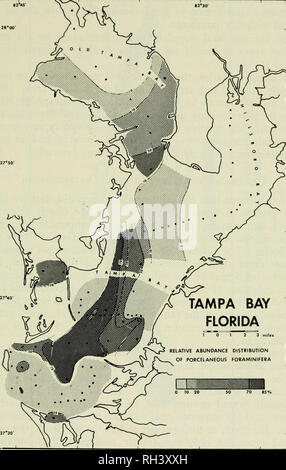 . Breviora. 1974 FORAMINIFERAL VERTEILUNG 15 82 * 30'-27 * 50' • 2* 45 28* 00'. -27 * 30 Abbildung 7. Relative Häufigkeit Verteilung der porcelaneous Foraminiferen aus Tampa Bay, Florida. (Daten von Bandy, 1956; Walton, 1964.). Bitte beachten Sie, dass diese Bilder sind von der gescannten Seite Bilder, die digital für die Lesbarkeit verbessert haben mögen - Färbung und Aussehen dieser Abbildungen können nicht perfekt dem Original ähneln. extrahiert. Harvard University. Museum für Vergleichende Zoologie. Cambridge, Mass., Museum für Vergleichende Zoologie, Harvard University Stockfoto