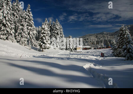 Skizentrum Pertouli, Trikala, Griechenland Stockfoto