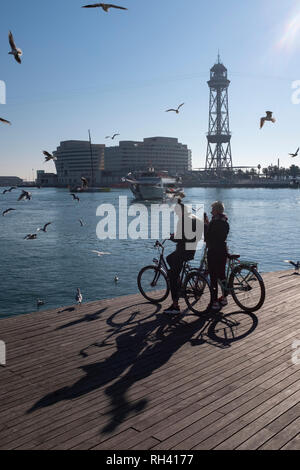 Radfahrer auf Steg mit starken Schatten durch Sonnenlicht Tauben und Möwen von Marina Hafen Barcelona Spanien fliegen geworfen werden Stockfoto