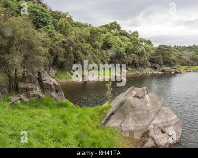 Ephemere Feuchtgebiete im Sommer, schöne ruhige Landschaft, Natur, See Kiriopukae, Te Urewera National Park, North Island, Neuseeland Stockfoto