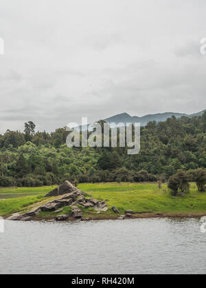 Ephemere Feuchtgebiete im Sommer, schöne ruhige Landschaft, Natur, See Kiriopukae, Te Urewera National Park, North Island, Neuseeland Stockfoto