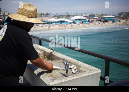 Reinigung Fisch - ein Mann reinigt seine frischen Fang vom Pier in Huntington Beach, CA. Im Hintergrund sehen Sie das Setup für die US Open surfen Stockfoto