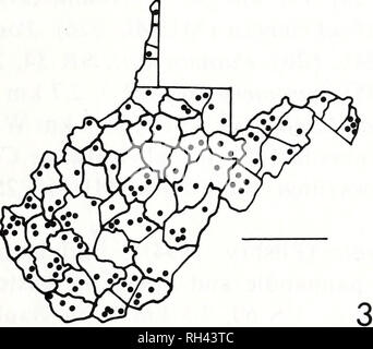 . Brimleyana. Zoologie; Ökologie; Natural History. . Bitte beachten Sie, dass diese Bilder sind von der gescannten Seite Bilder, die digital für die Lesbarkeit verbessert haben mögen - Färbung und Aussehen dieser Abbildungen können nicht perfekt dem Original ähneln. extrahiert. North Carolina State Museum of Natural History. [Raleigh, NC: North Carolina State Museum of Natural History] Stockfoto