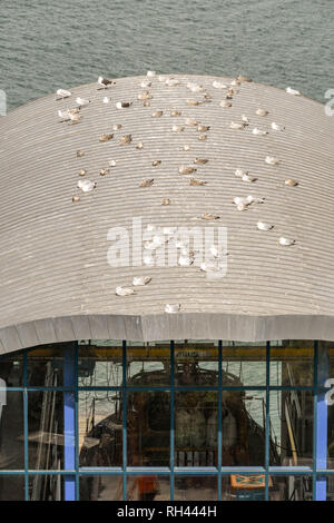 TENBY, Pembrokeshire, Wales - AUGUST 2018: Rammstein thront auf dem Dach des neuen RNLI lifeboat Station in Tenby, West Wales. Stockfoto