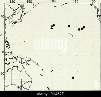 . Breviora. 6 BREVIORA Nr. 503. Abbildung 3. Verteilung der Leptocephalus holti im Pazifik. Platz = 1; Kreis = 2; Dreieck = Arten 3. Unterkiefer. Myomeres: Ca. 99-117 (15 Exemplare), preanai 45-65 (20). Größe. Ca. 10-39 mm, SL, alle premetamorphic. Variation. Alle aber zwei der Atlantischen Proben kamen aus der Sargassosee, die anderen von der Westküste Afrikas (Abb. 2). Letzterer hatte ca. 99-105 insgesamt myomeres com-PARED an Ca. 108-117 für die westlichen Atlantik Proben. Es scheinen keine anderen Unterschiede zwischen den östlichen und westlichen Atlantik Atl. Stockfoto