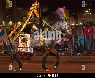 Ein Nachtschwärmer Fahrten die Church Street zu Pferd in der Reihenfolge der Inca Mardi Gras Parade Feb.25, 2011 in Mobile, Alabama. Stockfoto