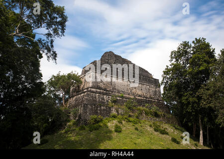 Maya Pyramide teilweise in der dzibanche Maya in Mexiko überwuchert. Stockfoto