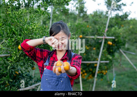 Der Bauer ist das Sammeln von Orange mit einem Lächeln. Moderne landwirtschaftliche Konzepte. Stockfoto