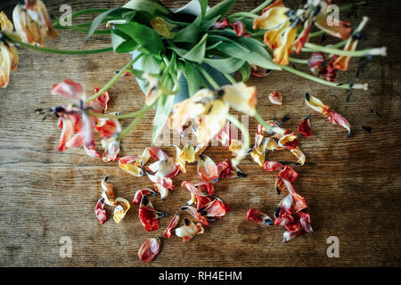 Tot Blütenblätter fallen von Bouquet stammt Stockfoto