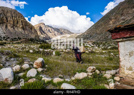 Eine lokale Frau trägt Grün in einem Korb in der oberen Phu Khola Tal, Berge in der Ferne Stockfoto