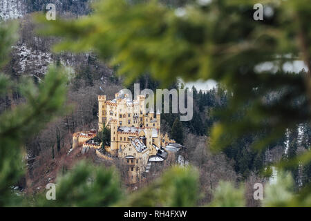 SCHWANGAU, Deutschland - Dezember 2018: Winter Blick auf das Schloss Hohenschwangau in der Nähe der bayerischen Stadt Füssen. Rahmung mit Pine Tree Branches. Stockfoto