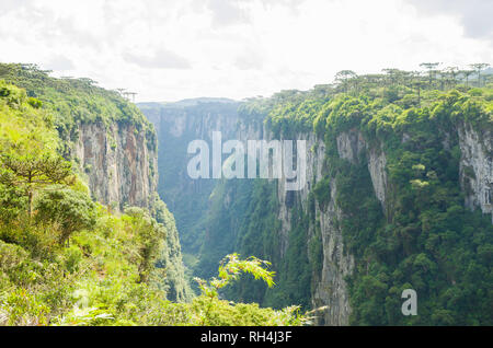 Schöne Landschaft von Canyon Itaimbezinho und grünen Regenwald, Cambara do Sul, Rio Grande do Sul, Brasilien Stockfoto
