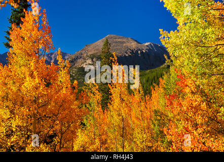 Bierstadt Lake Trail, Rocky Mountain National Park, Estes Park, Colorado, USA Stockfoto