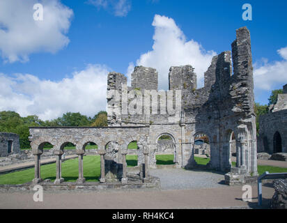 Architektonisches detail an Mellifont Abbey Irland Stockfoto