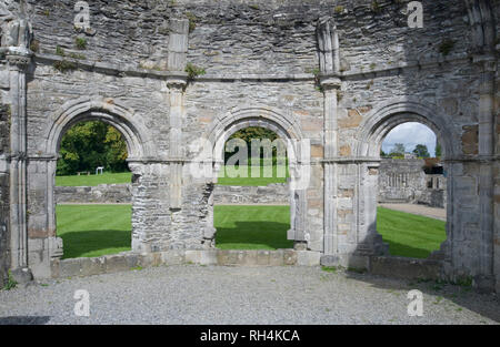 Architektonisches detail an Mellifont Abbey Irland Stockfoto