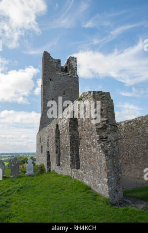 Skryne Kirchenruine, Meath, Irland Stockfoto