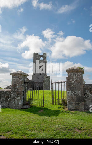 Skryne Kirchenruine, Meath, Irland Stockfoto