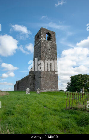 Skryne Kirchenruine, Meath, Irland Stockfoto