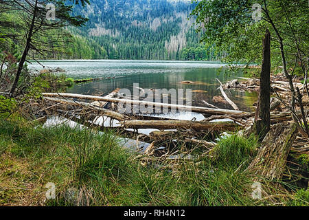 Die glazialen Teufel See durch den Wald in Südböhmen umgeben Stockfoto