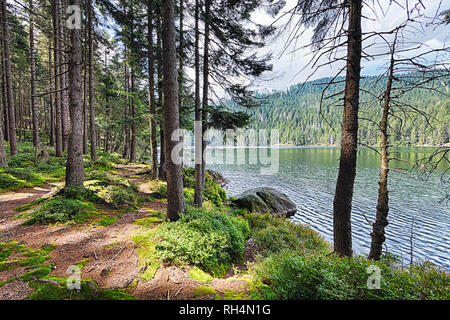 Die glazialen Teufel See durch den Wald in Südböhmen umgeben Stockfoto