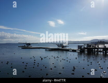 Vulkanischen Air bietet Rundreisen auf schwimmenden Flugzeuge und Hubschrauber am Lake Rotorua, Rotorua, Neuseeland Stockfoto