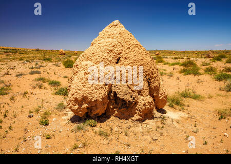 Viele Termitenhügel in der Wüste von Western Australia Stockfoto