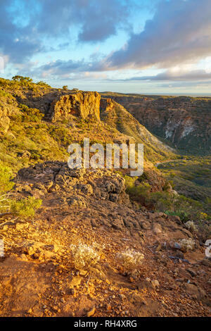 Wandern am Charles knife Canyon in der Nähe von Exmouth, Western Australia Stockfoto