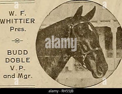 . Züchter und Sportler. Pferde. THb Züchter und Sportler [Samstag, Februar 19, 1916, Park fahren Pleasanton PLEASANTON, für Ihe-Saison 1916 Ihe Kalifornien Angebote für Service folgende sialiions: der amboss 2:02 3-4 Schnellste trotting Stallion überhaupt für Service in Kalifornien angeboten, und die Vierte am schnellsten gesamte Trotter in der Welt, der Sohn des St. Valiant Vincent 2: 11% (von St. Vincent 2:13 y2 aus der Triple Produzent Grace Lee Electioneer SrSSM-Bv 125); dam Amy Smith von Kaiser Wilkes 2:20%, Vater der Prinzessin Eulalia (4) 2: 09%, usw.; Großmutter von Nieuwpoort - tonian 539. Der Amboss wird von Edward angesehen Stockfoto