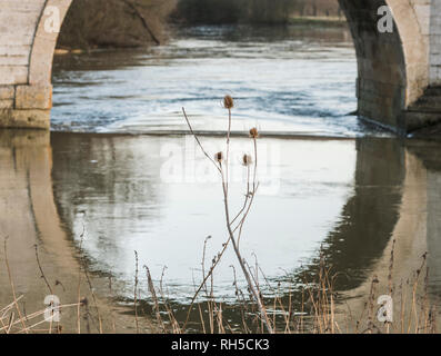 Milton Ferry Bridge über den Fluss Nene, Peterborough, Cambridgeshire Stockfoto