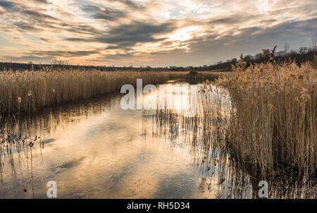 Ein kalter Wintertag am Star Pit lokale Nature Reserve, ein ehemaliger brick Pit im Dogsthorpe, Peterborough, Cambridgeshire, England Stockfoto