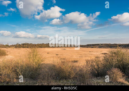 Ein kalter Wintertag am Star Pit lokale Nature Reserve, ein ehemaliger brick Pit im Dogsthorpe, Peterborough, Cambridgeshire, England Stockfoto